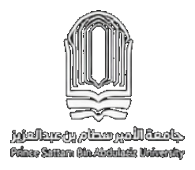 Prince Sultan Bin Abdulaziz University