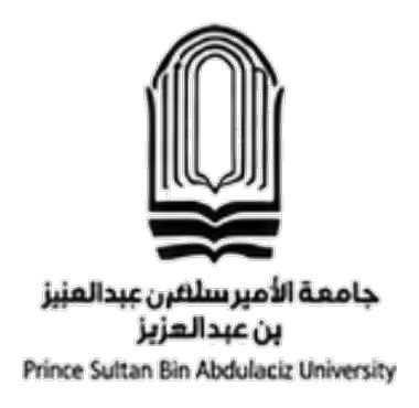 Prince Sultan Bin Abdulaziz University